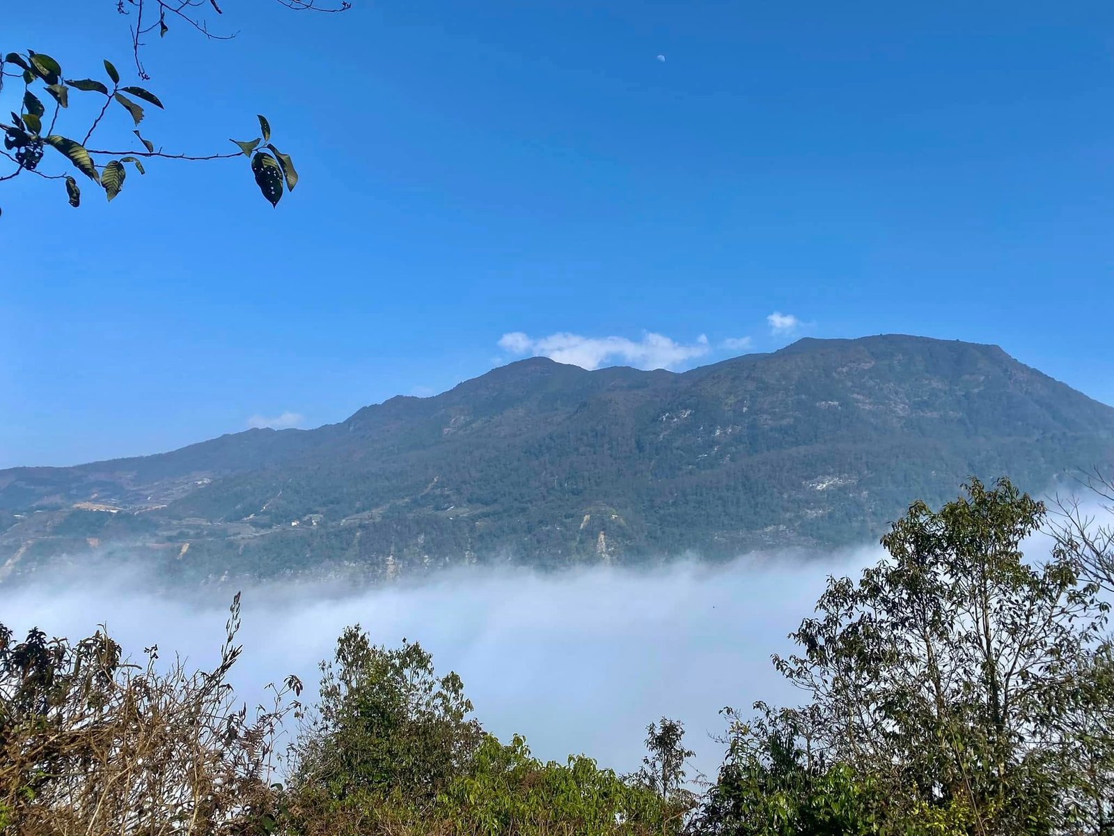 Half Day Sapa Walking Giang Ta Chai Su Pan Village